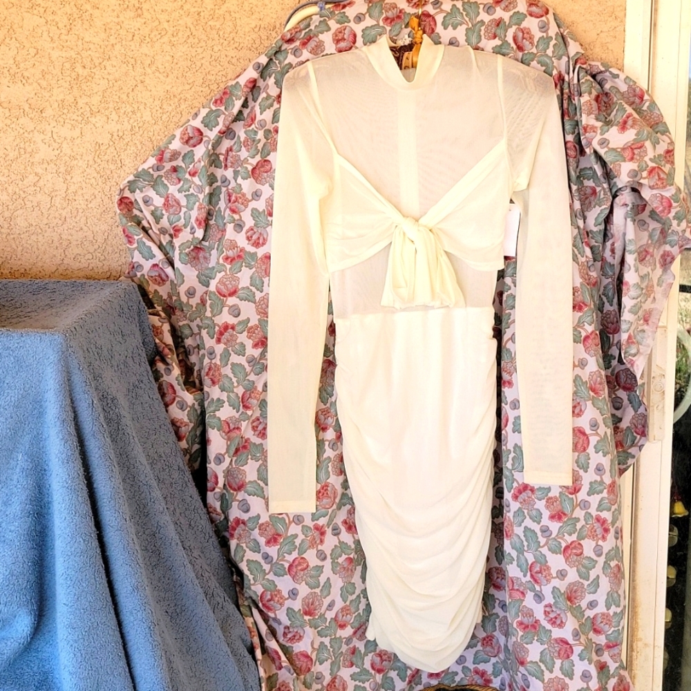 Kaylee Kollection Sexy Cream Chiffon Ruched Illusion Dress sz S